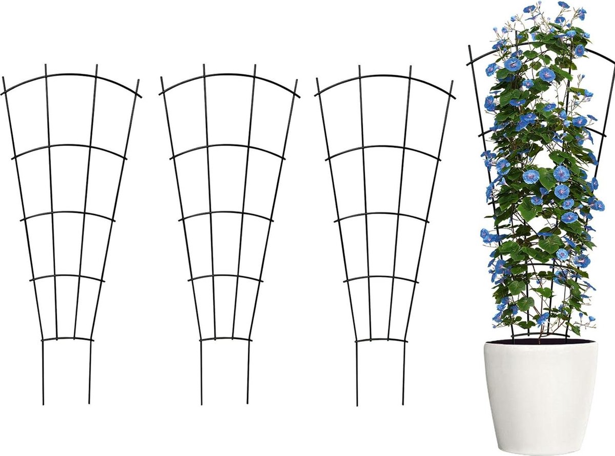 Lot De 6 Tuteurs Pour Plantes D'intérieur - Forme éventail, Vert, Empilables, Pour Fleurs Et Vignes - 3
