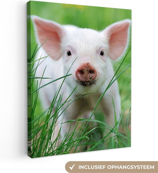 Canvas schilderij 60x80 cm - Wanddecoratie Varken - Dieren - Big - Muurdecoratie woonkamer - Slaapkamer decoratie - Kamer accessoires - Schilderijen