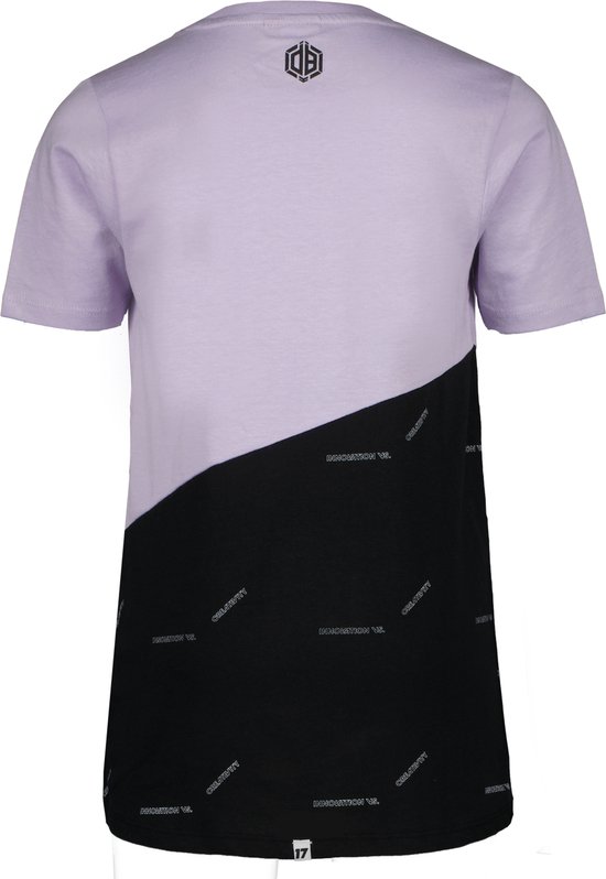 Vingino Daley Blind jongens t-shirt Haroon Grey Purple