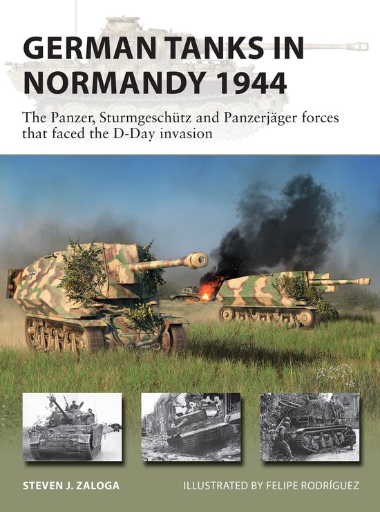 New Vanguard- German Tanks in Normandy 1944