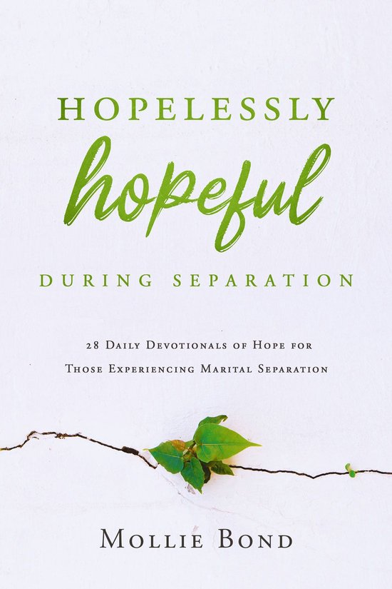 Hopelessly Hopeful During Separation - cover