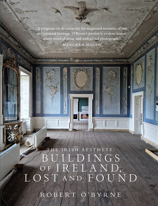 Boek "The Irish Aesthete: Buildings of Ireland, Lost and Found" met een foto van een lege, blauw geschilderde kamer met ornamenten en een spiegel.