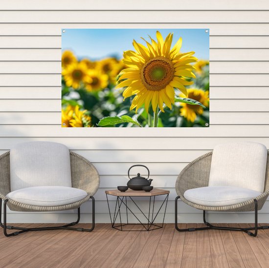 Affiche de jardin de tournesol - Affiche de jardin de plantes - Posters de jardin Feuilles - Affiche d'extérieur - Toile de clôture - Affiche de jardin de peinture de jardin 90x60 cm