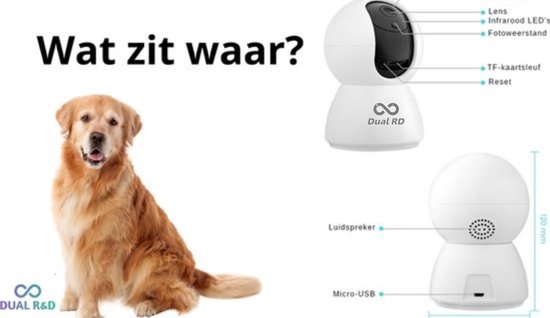 Hoe lang kan een hond alleen zijn? 5 tips voor als je hond alleen thuis moet blijven Hoe lang kan een hond alleen zijn? 5 tips voor als je hond alleen thuis moet blijven