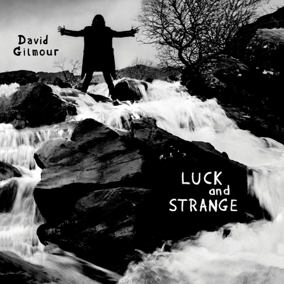 David Gilmour - Luck and Strange (CD) op Prijzenvolger.com