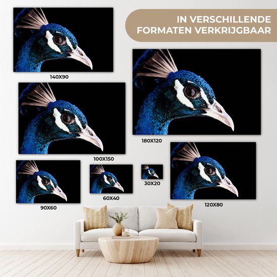Tableau sur toile Paon - Animal - Blauw - 180x120 cm - Décoration murale XXL