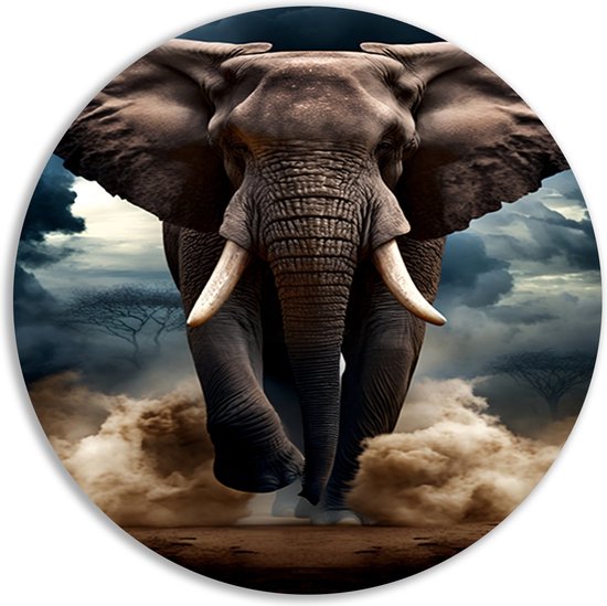 Olifant wandcirkel - Dieren wanddecoratie rond - Muurcirkel Lucht - Modern schilderij - Forex schilderij - Slaapkamer muurdecoratie muurcirkel forex 90x90 cm