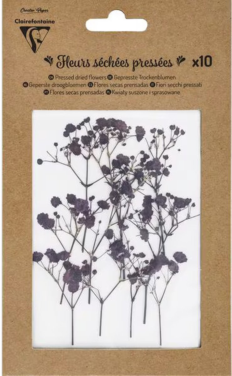 Claire Fontaine Geperste droogbloemen 10 stuks Lavande Gipskruid