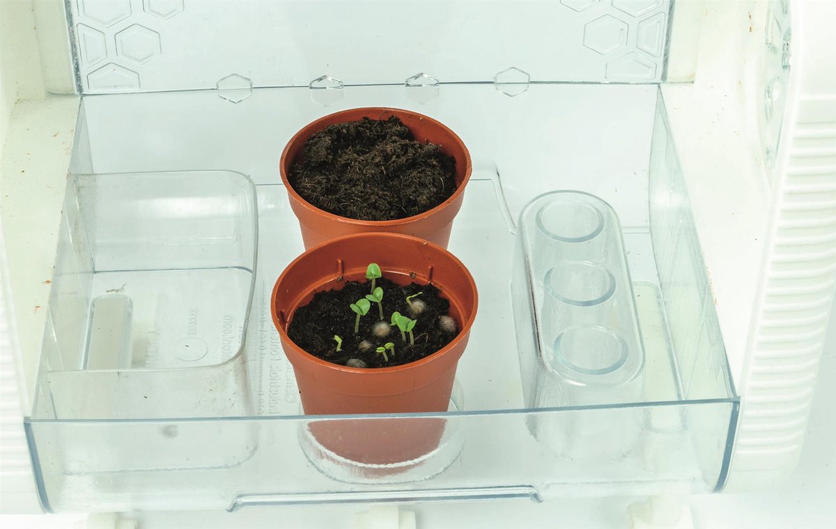 Clementoni Wetenschap en Spel - Hi-Tech Kweekkas - STEM speelgoed - Broeikas - Experimenteren met Planten - Groene vingers - Vanaf 8 jaar — afbeelding 12