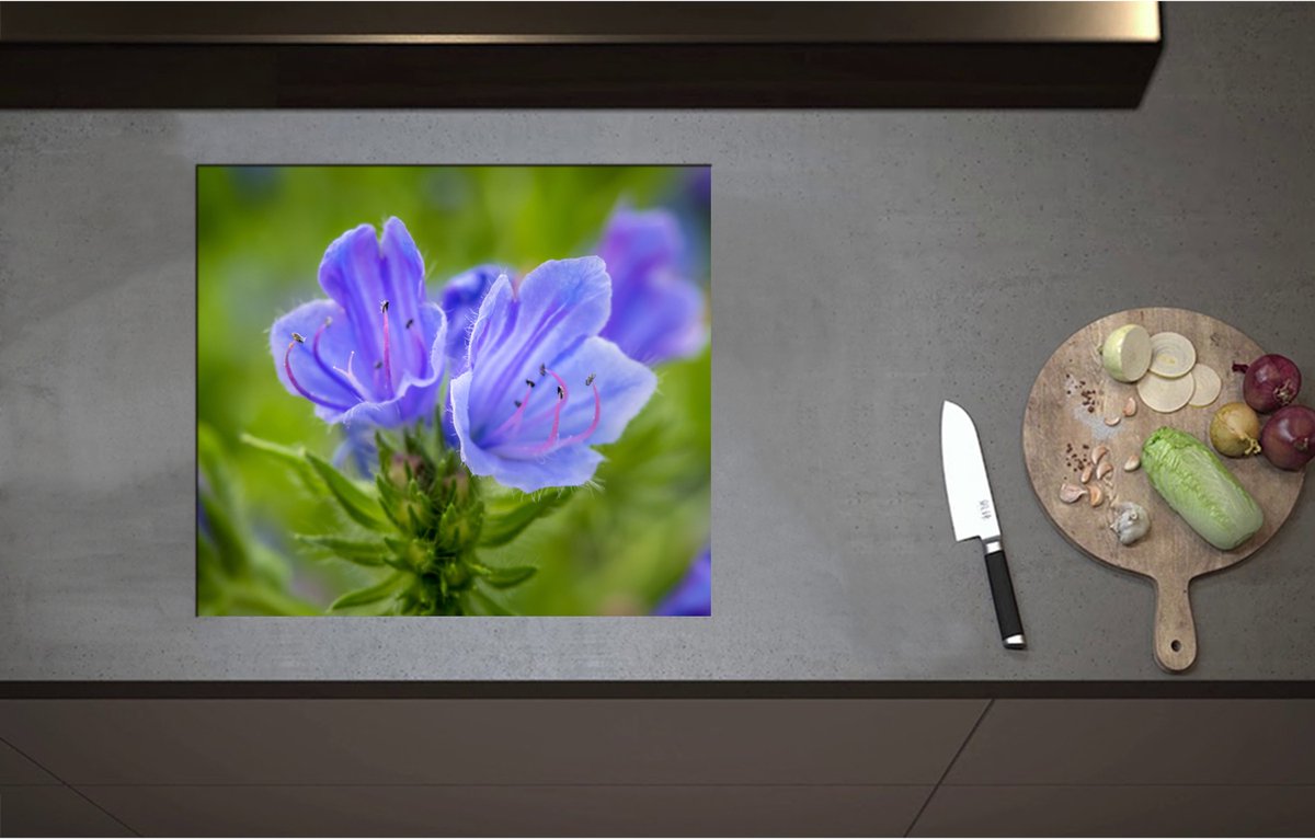 Inductieplaat Beschermer - Close Up van Blauwe Slangenkruid Bloemen - 59x52 cm - 2 mm Dik - Inductie Beschermer - Bescherming Inductiekookplaat - Kookplaat Beschermer van Wit Vinyl