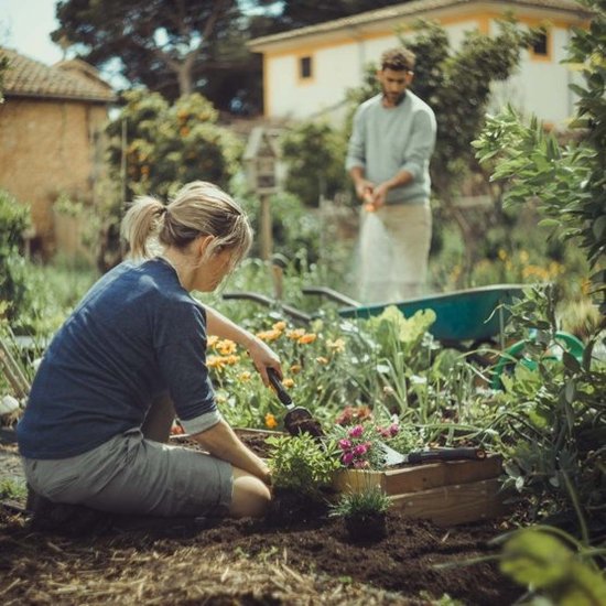 Fiskars Xact™ Plantschep - Tuinschepje - Softgrip Handvat - RVS van Fiskars — afbeelding 4