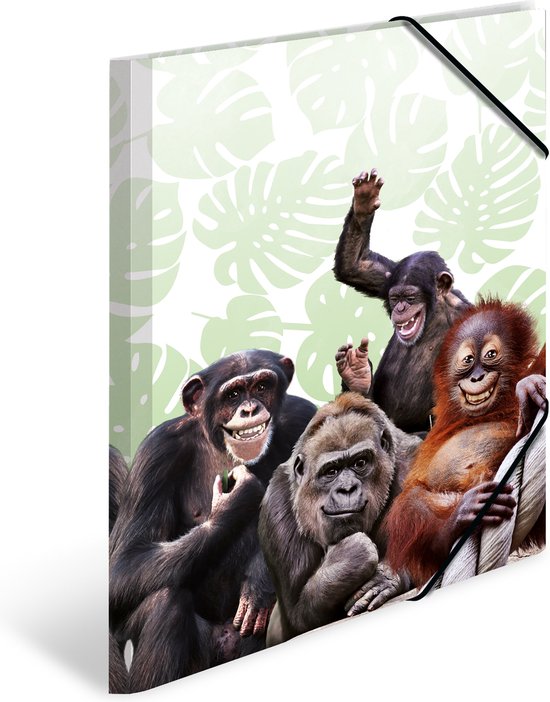 HERMA Monkey gang, Chemise adhésive conventionnelle, A3, Polypropylène (PP), Multicolore, Bande élastique, 335 mm