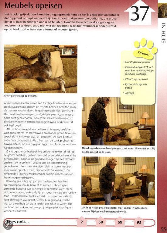 Een hond ligt op een bank.