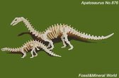 Houten Apatosaurus