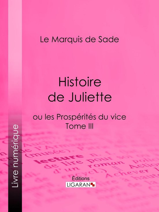 Histoire de Juliette (ebook), Marquis De Sade 9782335144819 Boeken