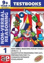 9+ (Year 3) Non-verbal Reasoning