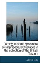 Catalogue of the Specimens of Amphipodous Crustacea in the Collection of the British Museum