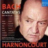 Bach: Cantatas Bwv 29 61