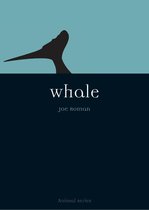 Animal - Whale