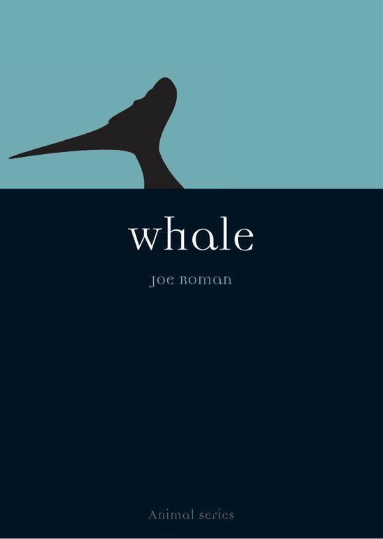 Animal 12 - Whale