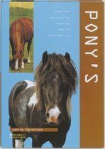 Pony's