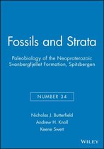 Fossils And Strata