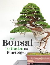 Der Bonsai Leitfaden für Einsteiger