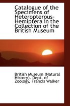 Catalogue of the Specimens of Heteropterous-Hemiptera in the Collection of the British Museum