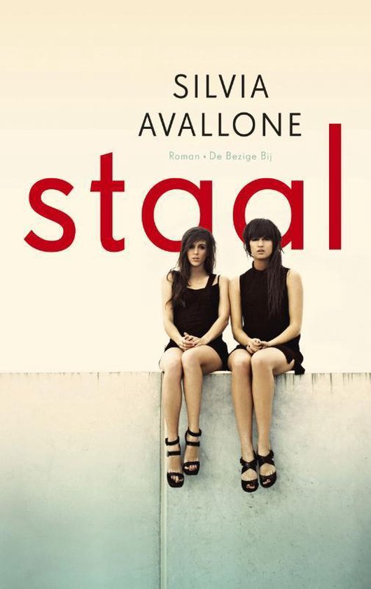 Staal - Silvia Avallone | Northernlights300.org