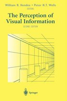 The Perception of Visual Information