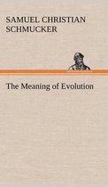 The Meaning of Evolution