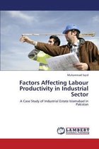 Factors Affecting Labour Productivity in Industrial Sector