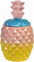 Wetland Psychologisch Normaal Pols Potten Jar Pineapple multicolour - Pot - Pink | bol.com