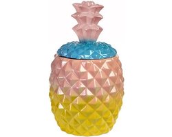 Pols Potten Jar Pineapple multicolour - Pot - Pink | bol.com