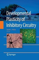 Developmental Plasticity of Inhibitory Circuitry