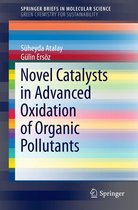 SpringerBriefs in Molecular Science - Novel Catalysts in Advanced Oxidation of Organic Pollutants