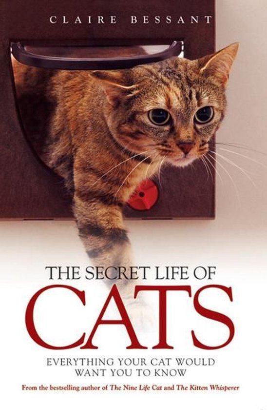 The Secret Life of Cats - cover