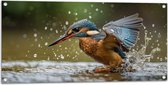 Tuinposter – Dier - Vogel - Kleuren - Water - 100x50 cm Foto op Tuinposter (wanddecoratie voor buiten en binnen)