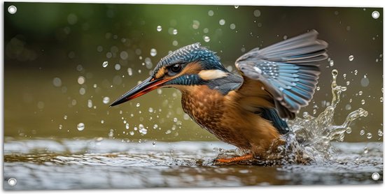 Tuinposter – Dier - Vogel - Kleuren - Water - 100x50 cm Foto op Tuinposter (wanddecoratie voor buiten en binnen)