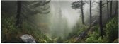 Poster Glanzend – Bos - Mistig - Bomen - Pad - Stenen - 150x50 cm Foto op Posterpapier met Glanzende Afwerking