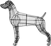 Hond Weimaraner - Frame