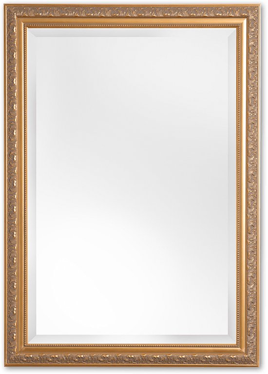 Barok Spiegel 63x163 cm Goud - Daniel