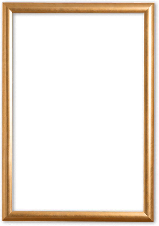 Klassieke Lijst 70x90 cm Goud - Ava