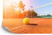 Papier peint photo Balle de tennis sur le terrain