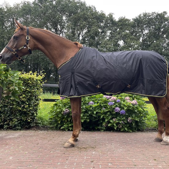 Couverture imperméable pour chevaux