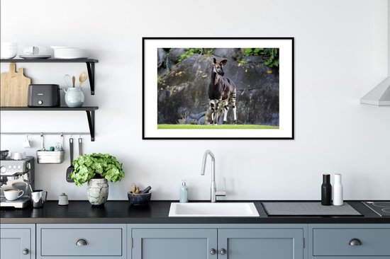Okapi dans la prairie cadre photo noir avec passe-partout blanc 60x90