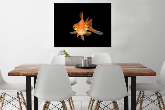 Cadre photo avec affiche - Poisson rouge - Animaux aquatiques - Yeux - 80x60 cm - Cadre pour affiche