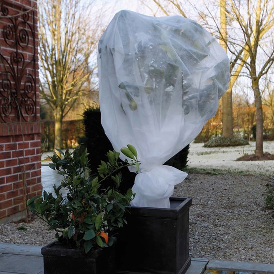 Thermobeschermhoes planten - 250 x 360 cm - Reuze