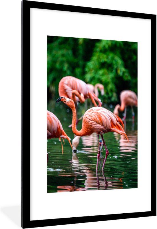 PosterMonkey - Poster - Fotolijst - Vogel - Water - Flamingo - Tropical - Dieren - 60x90 cm - Poster in lijst - Poster flamingo - Foto met lijst - Poster met kader