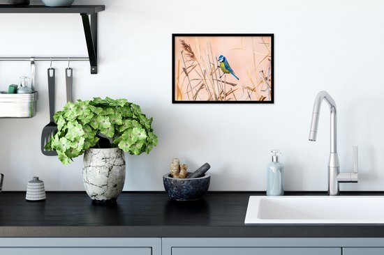 Poster - Cadre photo - Vogel - Pimpelmees Ressorts - Plumes - Roseau - Nature - 30x20 cm - Poster oiseaux - Cadre affiche - Photo sous cadre - Décoration chambre - Poster nature - Posters